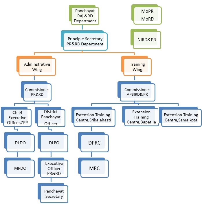 organogram1